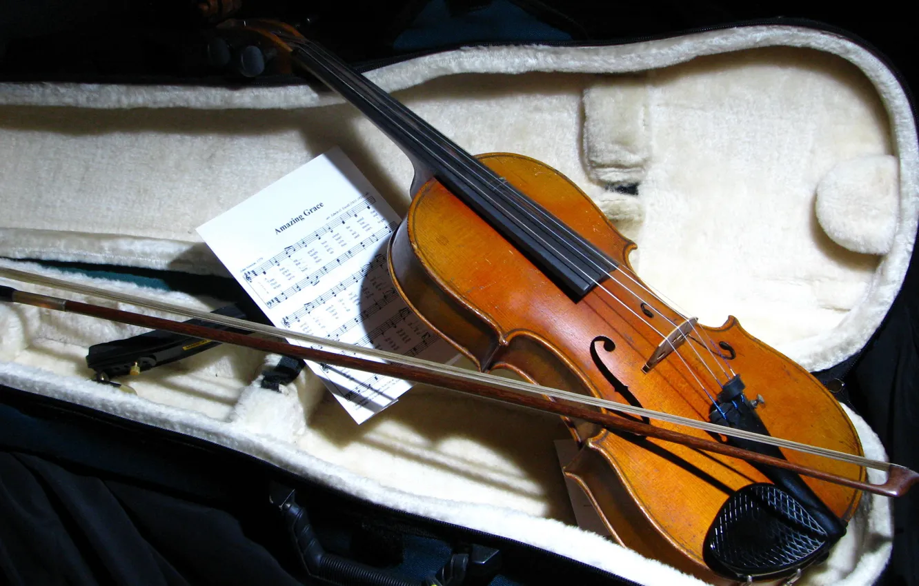 Photo wallpaper notes, background, violin
