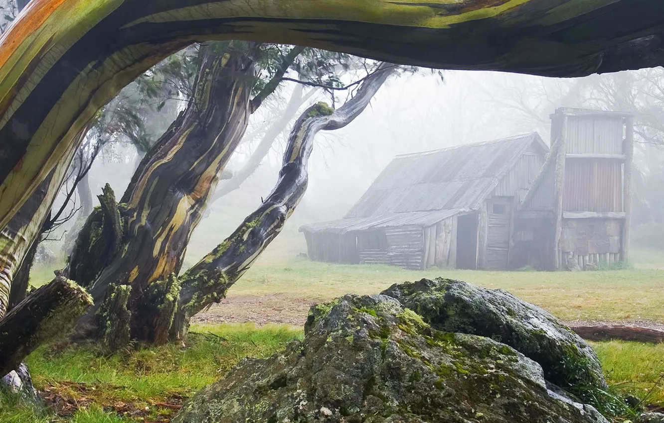 Photo wallpaper fog, house, stone, Australia, Wallace Hut