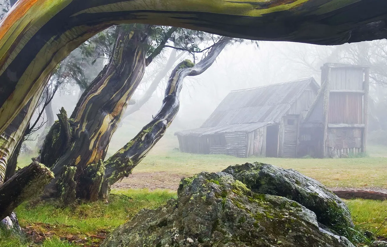Photo wallpaper home, fog, Australia, Wallace Hut, stones