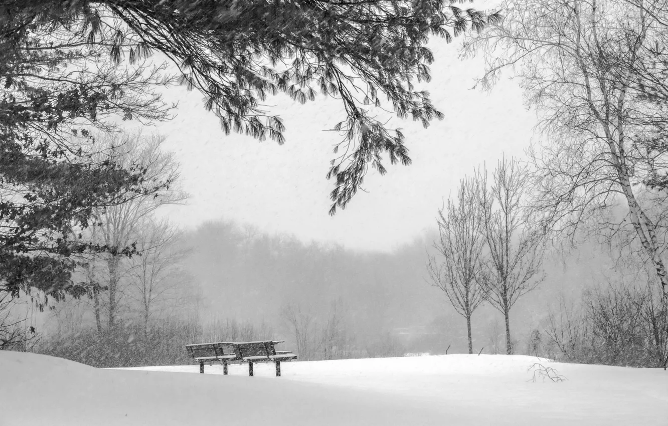Photo wallpaper cold, winter, snow, nature, bench