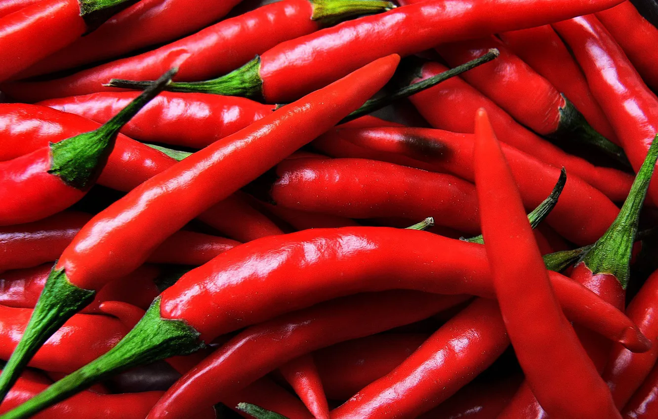 Photo wallpaper red, pepper, Chile