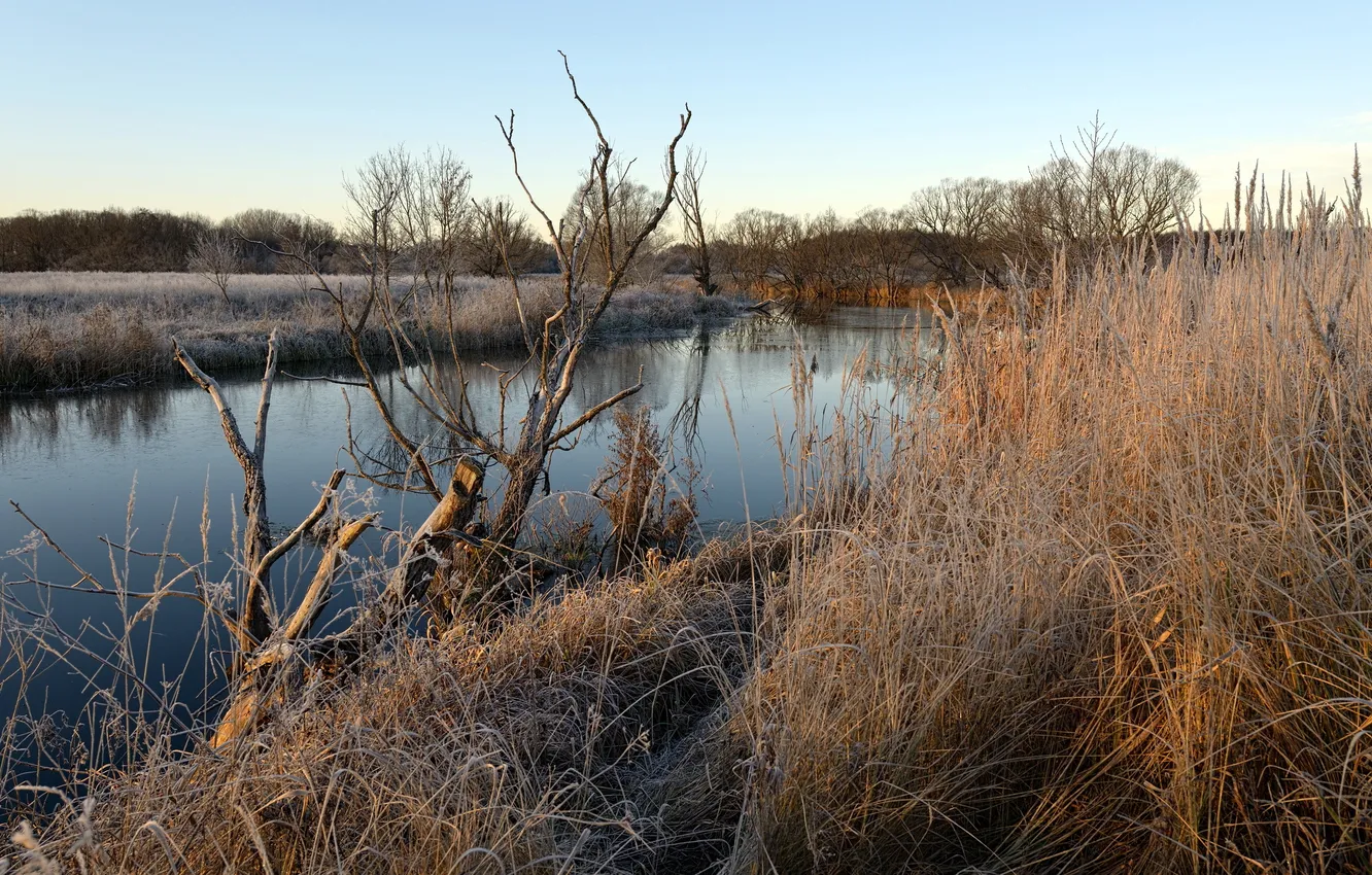 Photo wallpaper autumn, landscape, river, morning