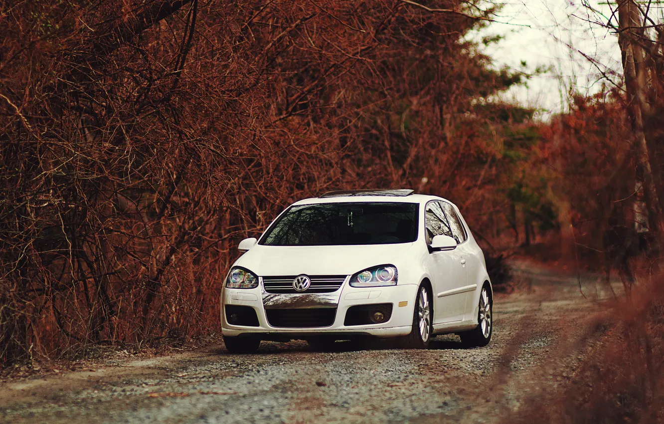 Photo wallpaper auto, forest, white, Volkswagen, red, The roads, VW Golf GTI