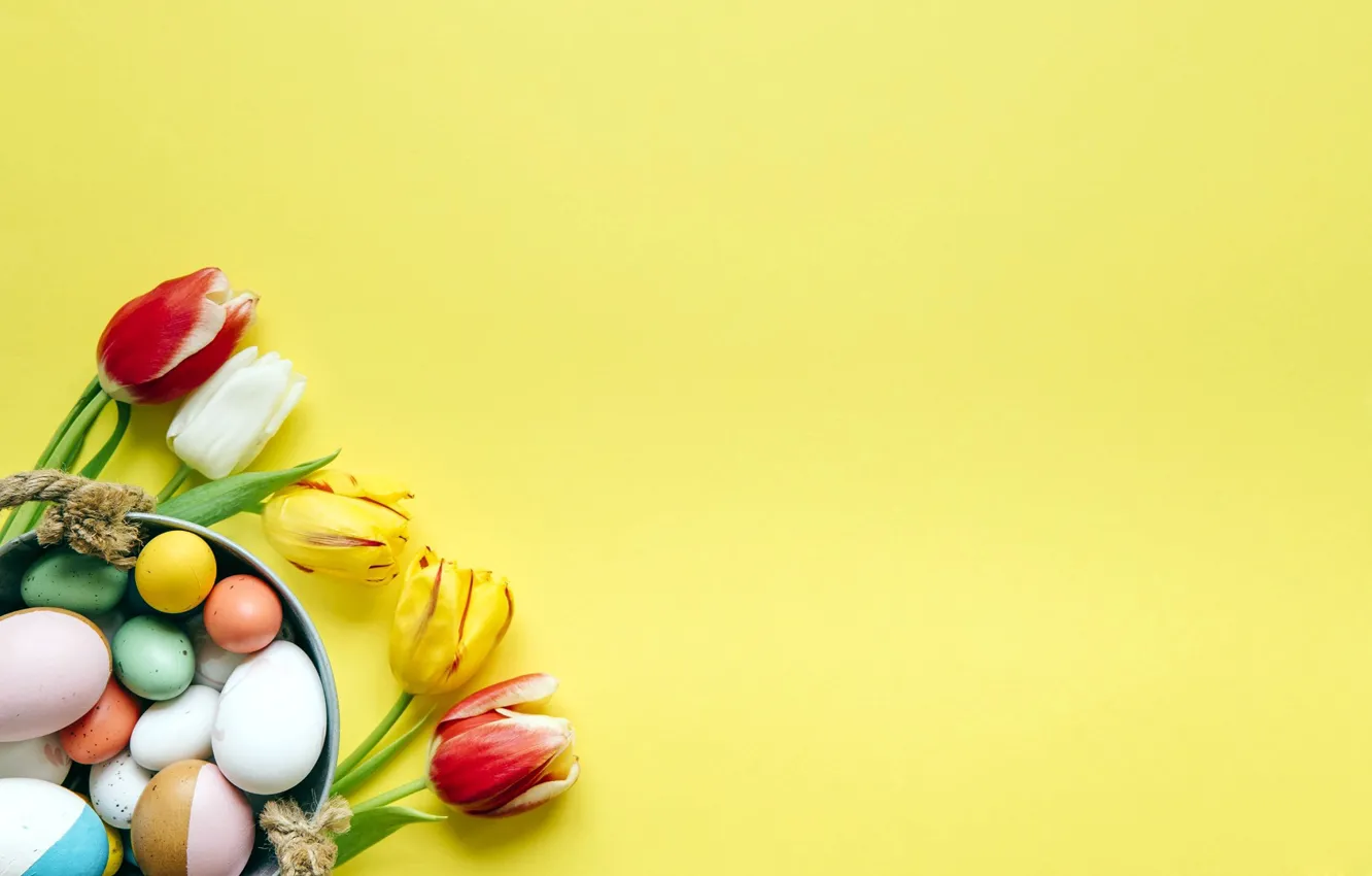 Photo wallpaper eggs, Easter, tulips, flowers, spring, easter