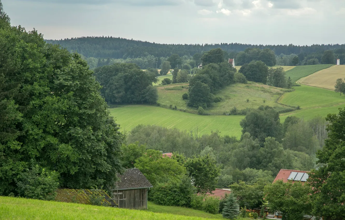 Photo wallpaper field, forest, trees, Germany, house, Meadow fields