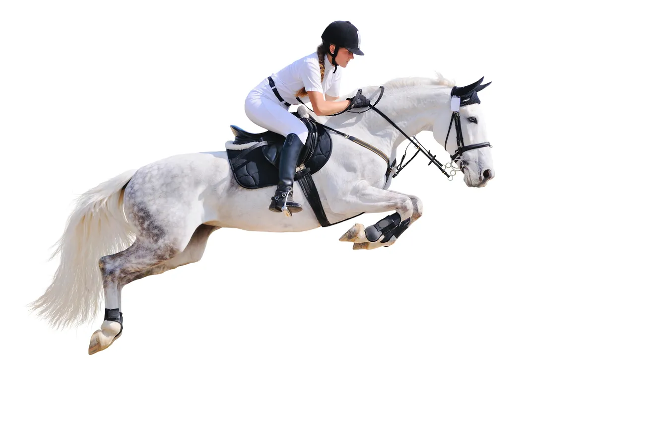 Photo wallpaper jumping, isolated, horsewoman, Horseman, horsemanship, hurdle