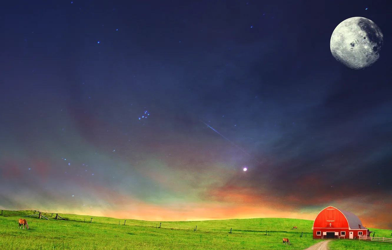 Photo wallpaper field, night, the steppe
