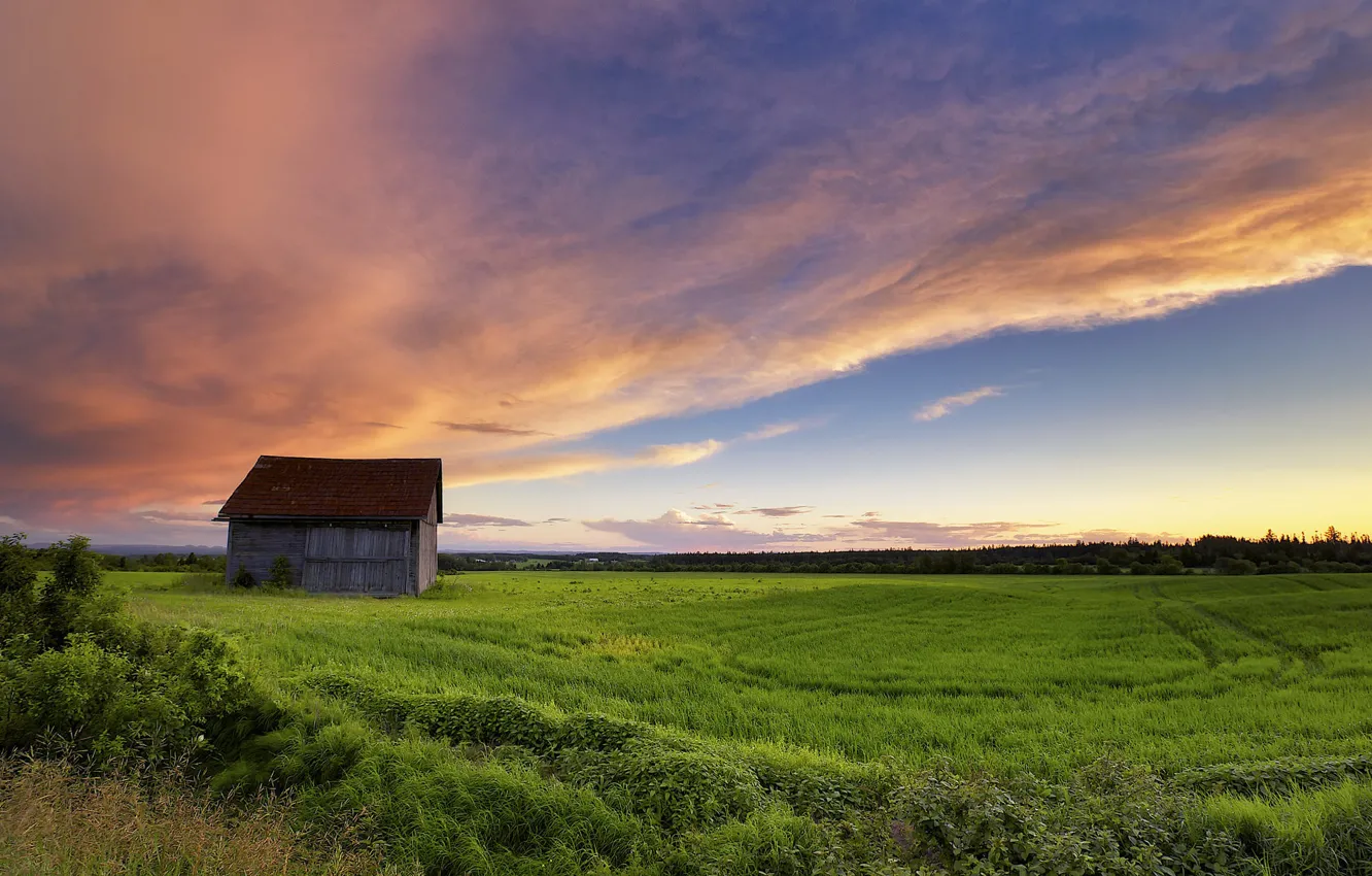Photo wallpaper field, the sky, sheds
