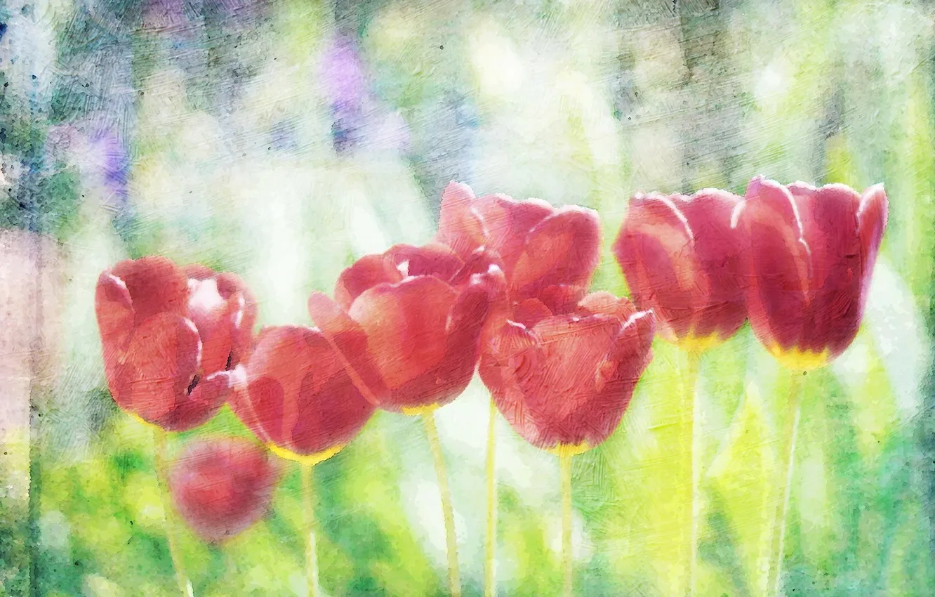 Photo wallpaper flowers, style, tulips