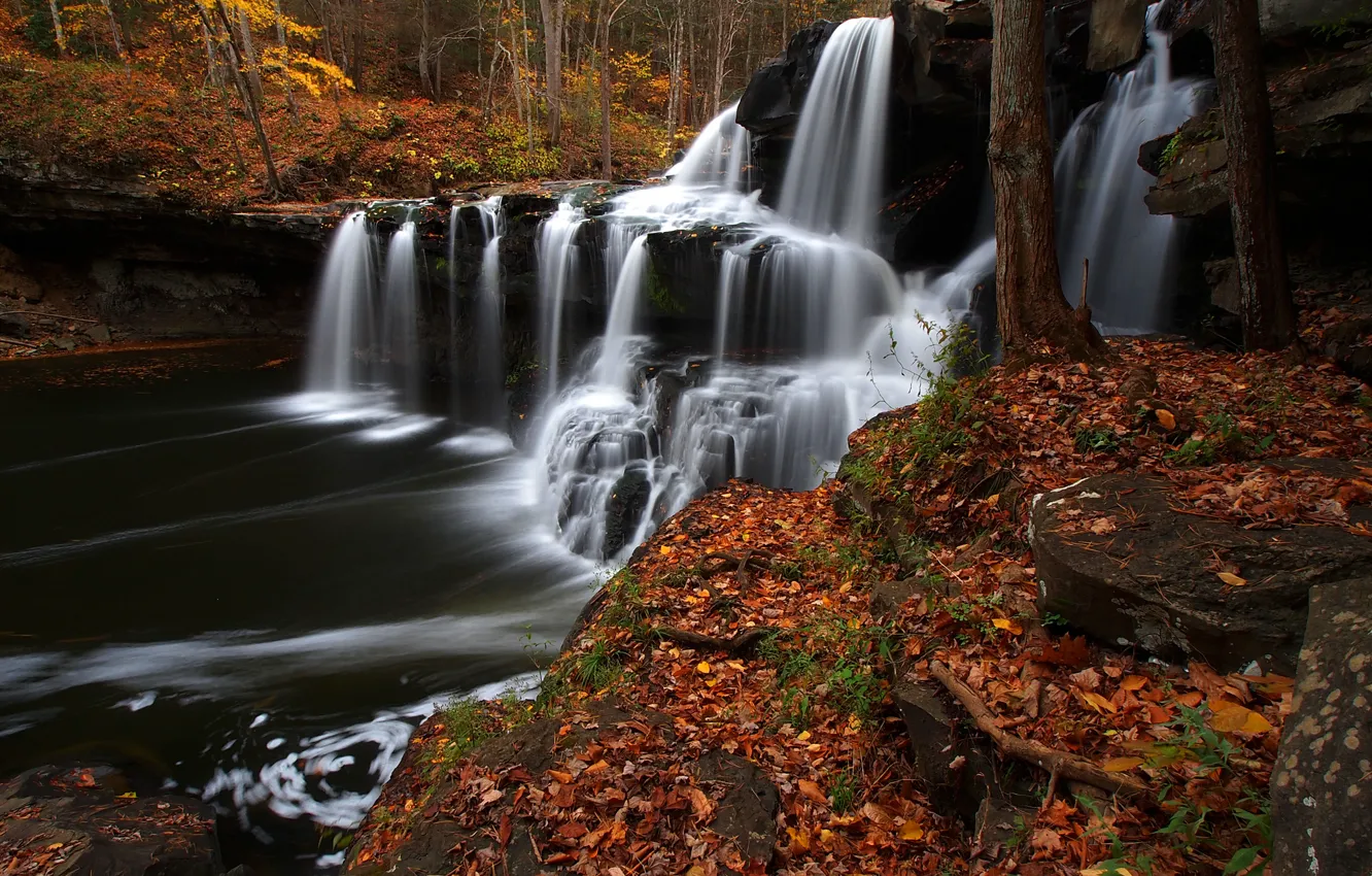 Photo wallpaper autumn, forest, leaves, river, waterfall, cascade, West Virginia, West Virginia