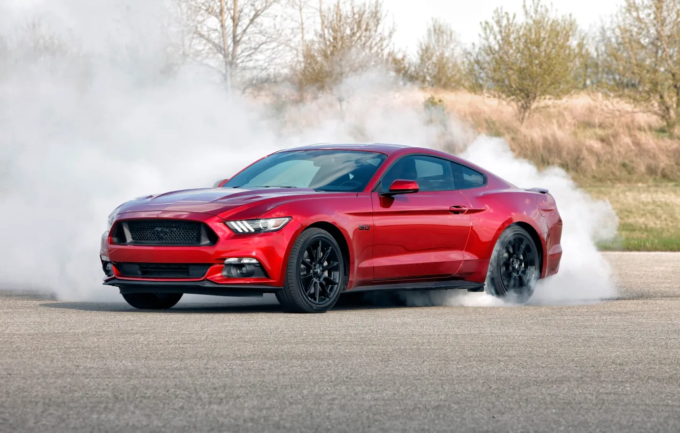Photo wallpaper Burnout, Mustang, Ford, Ford Mustang, Black, 2016, Accent, Ford 2016