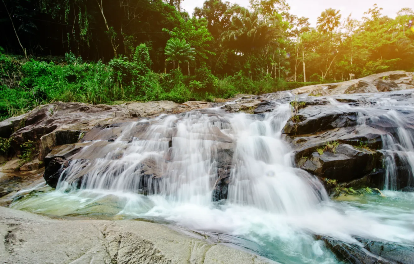 Photo wallpaper forest, landscape, river, rocks, waterfall, summer, forest, tropical