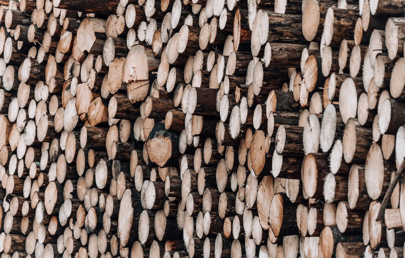 Photo wallpaper wood, firewood, logs