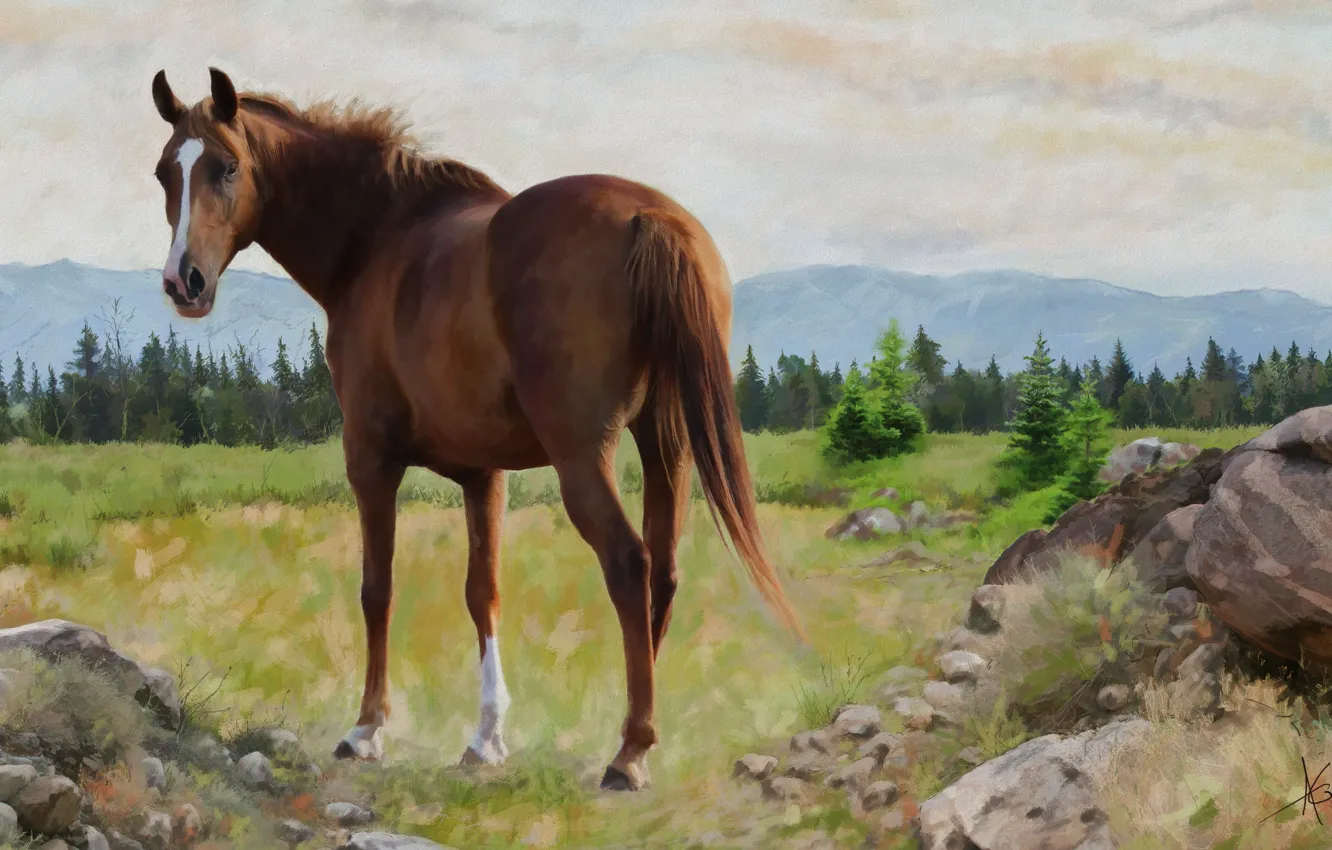 Photo wallpaper landscape, nature, horse, horse, graphics, picture, painting, Wallpaper from lolita777