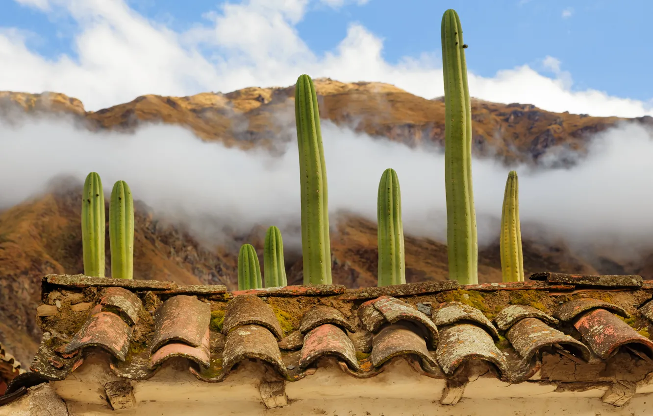 Photo wallpaper roof, clouds, mountains, cactus, tile, Peru, Ollantaytambo