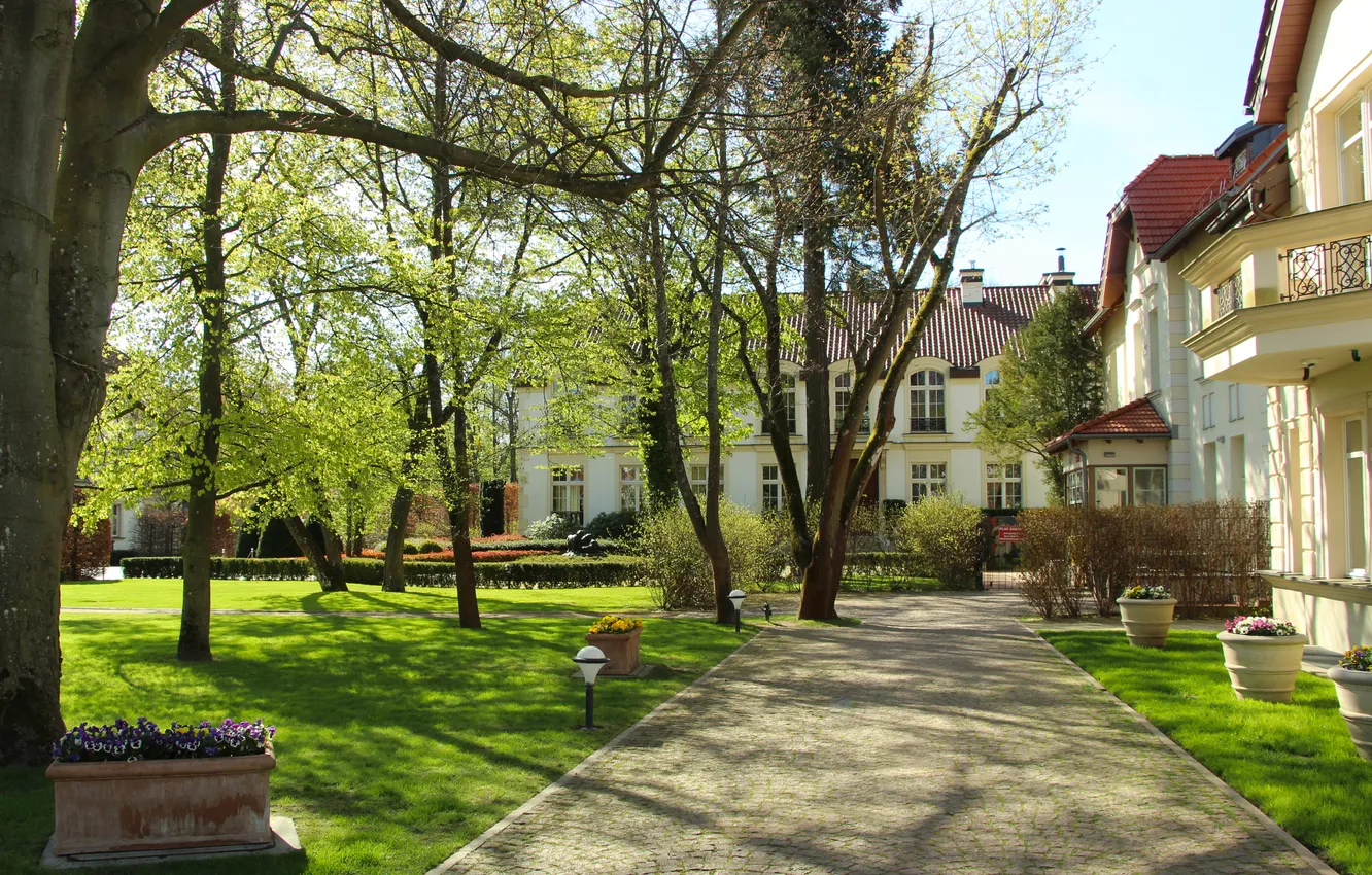 Photo wallpaper trees, park, alley