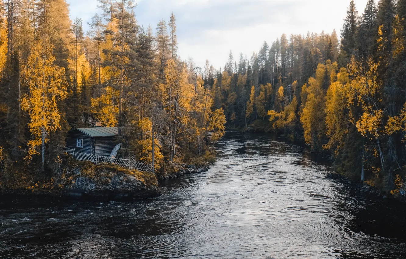 Photo wallpaper autumn, forest, house, river