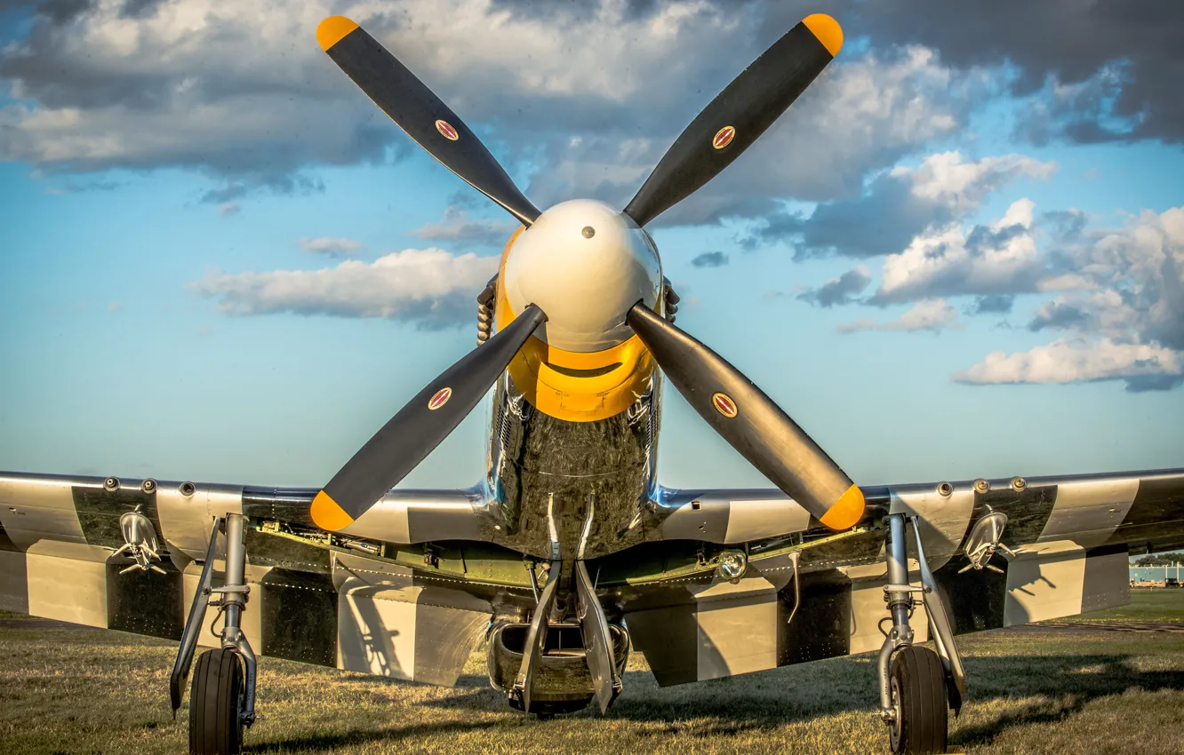 Photo wallpaper wings, screw, propeller, the plane