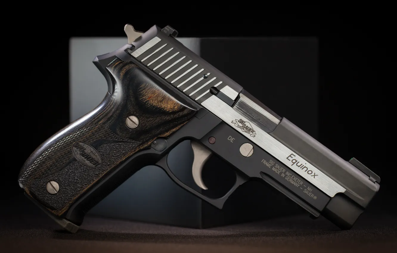 Photo wallpaper gun, weapons, Equinox, SIG-Sauer