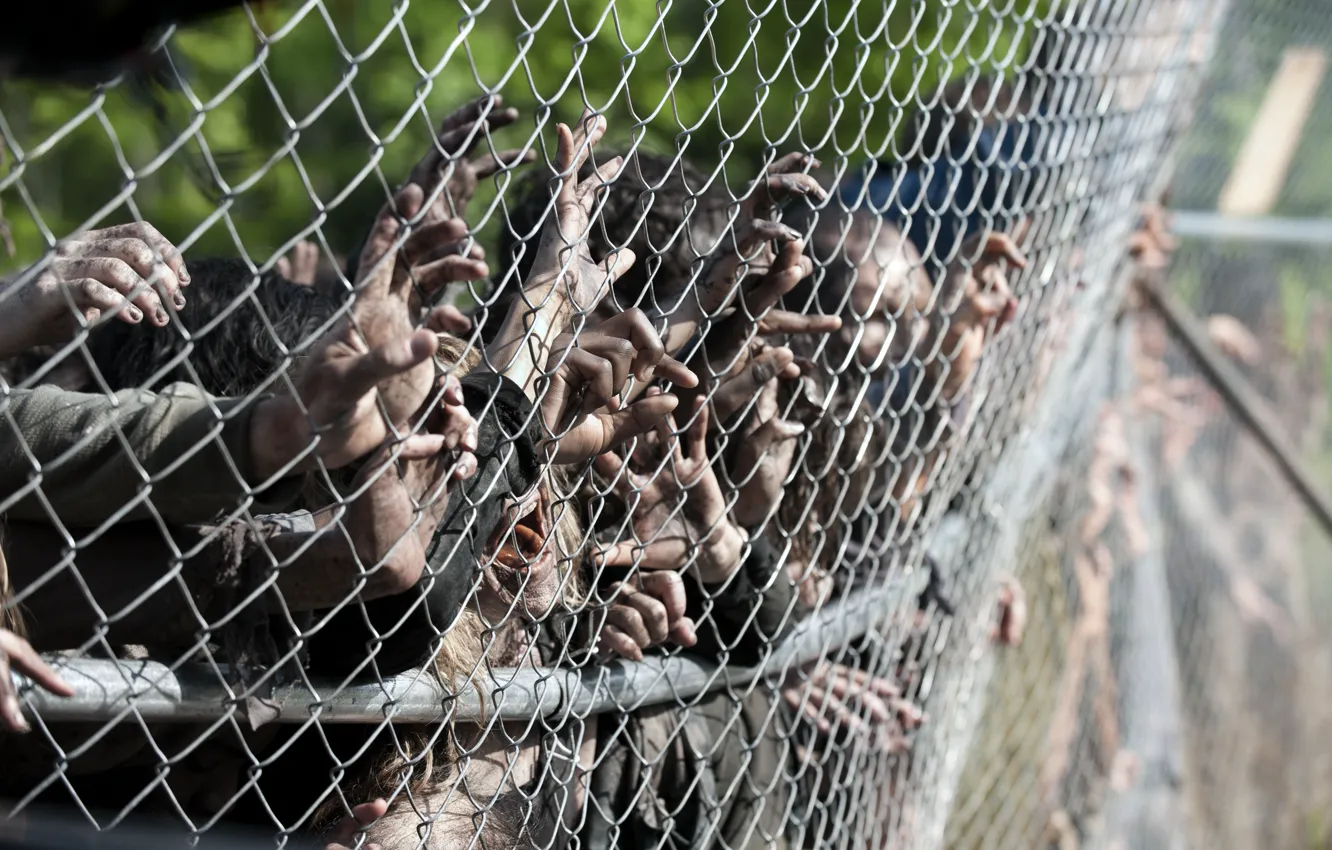 Photo wallpaper zombies, hands, The Walking Dead, wiring, Season 4