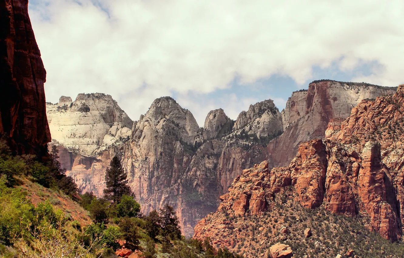 Photo wallpaper the sky, trees, mountains, Zion National Park, Utah, Zion national Park