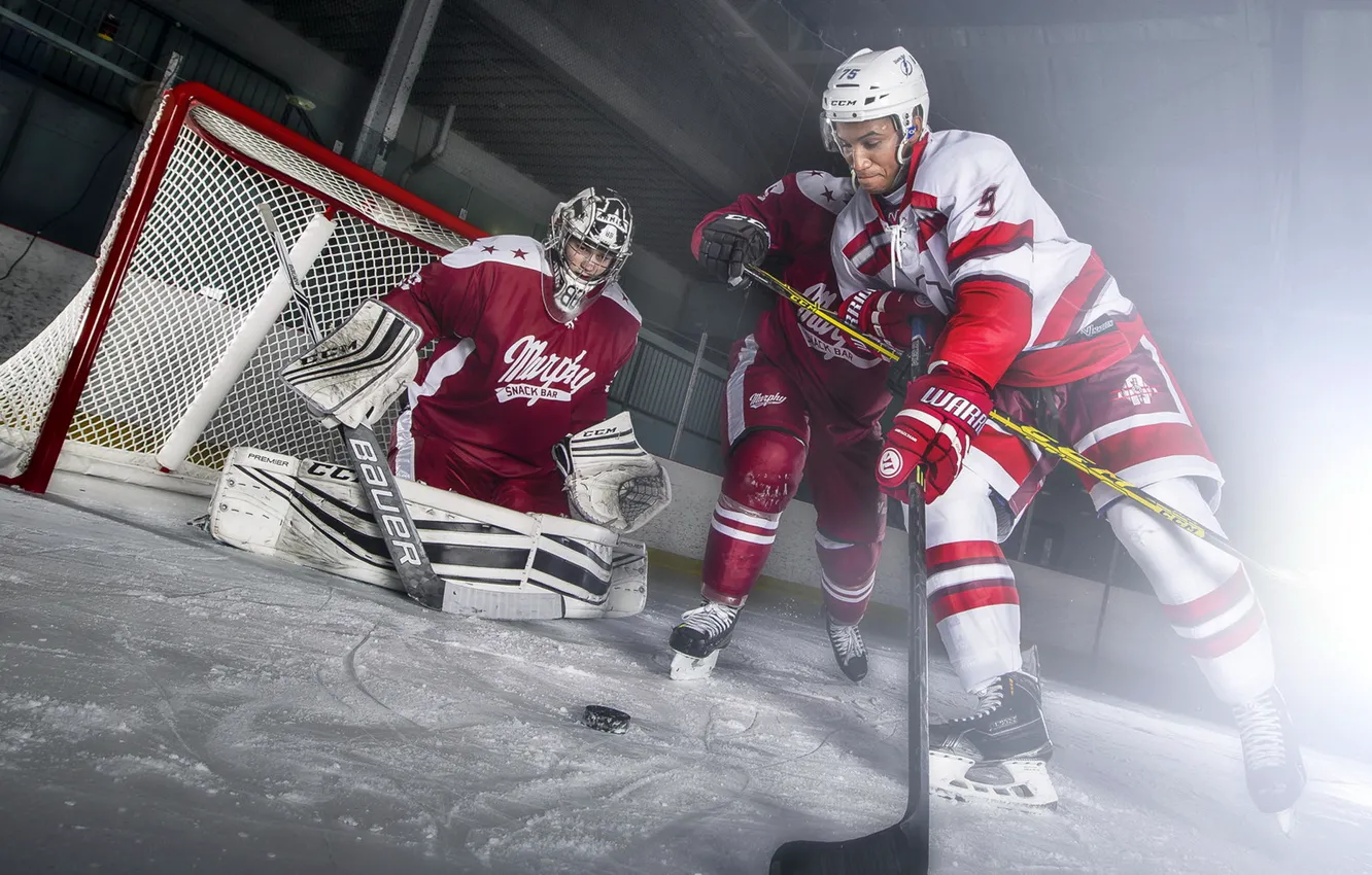 Photo wallpaper sport, the game, hockey