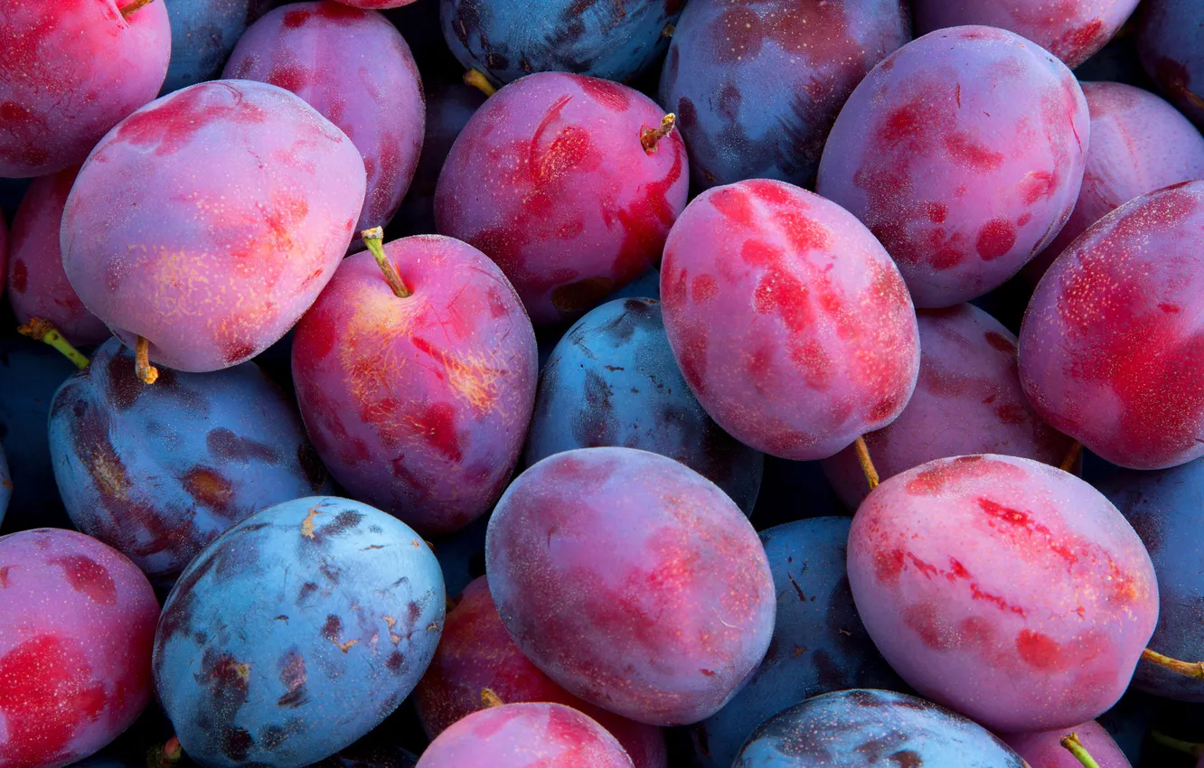 Photo wallpaper berries, plum, a lot