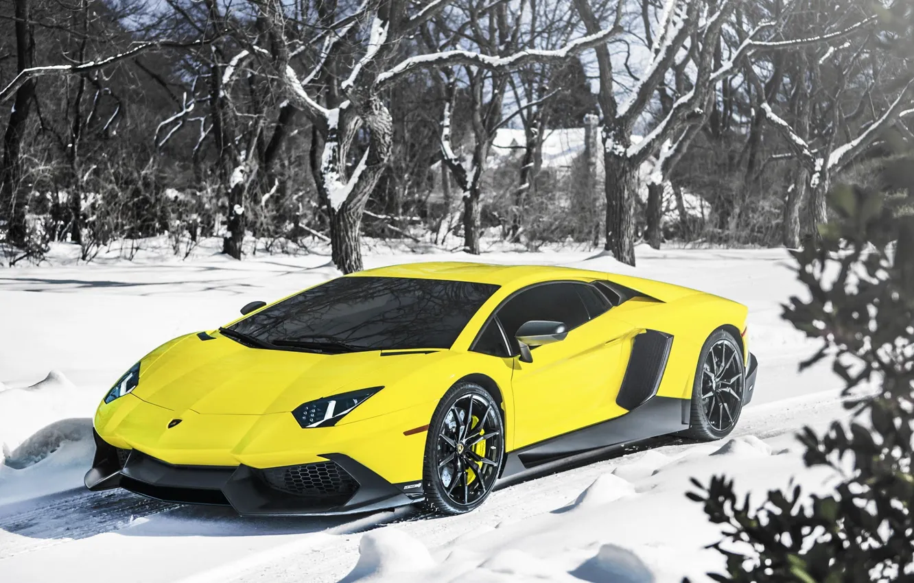 Photo wallpaper Lamborghini, Snow, Yellow, Aventador, Supercar, LP720-4, 50 Anniversario Edition