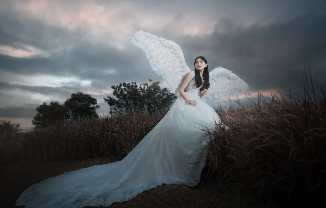 Photo wallpaper field, the sky, grass, look, girl, trees, clouds, nature