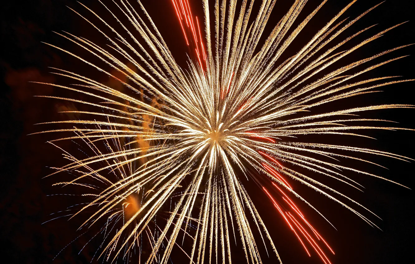 Photo wallpaper night, lights, salute, fireworks