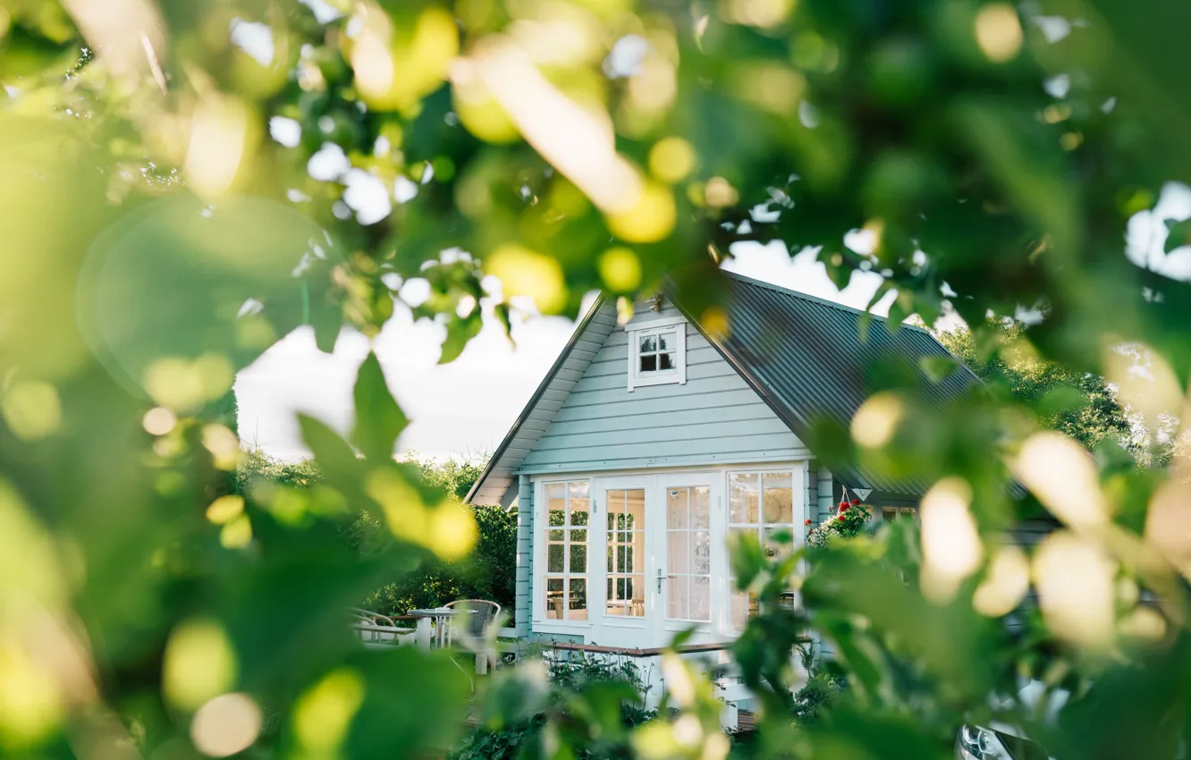 Photo wallpaper garden, garden, summer house, SUMMER HOUSE, Outdoor space, Open space