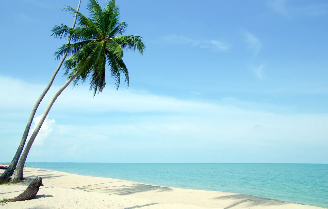 Photo wallpaper sand, sea, beach, summer, the sky, the sun, palm trees, shore