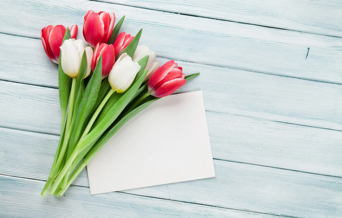 Photo wallpaper flowers, bouquet, tulips, red, white, wood, flowers, tulips