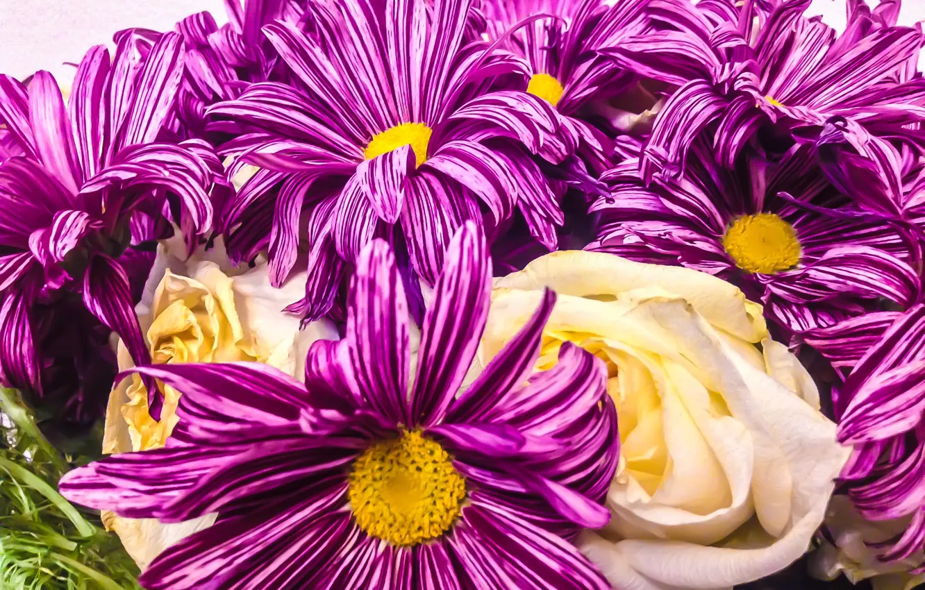 Photo wallpaper flowers, nature, bouquet, flora