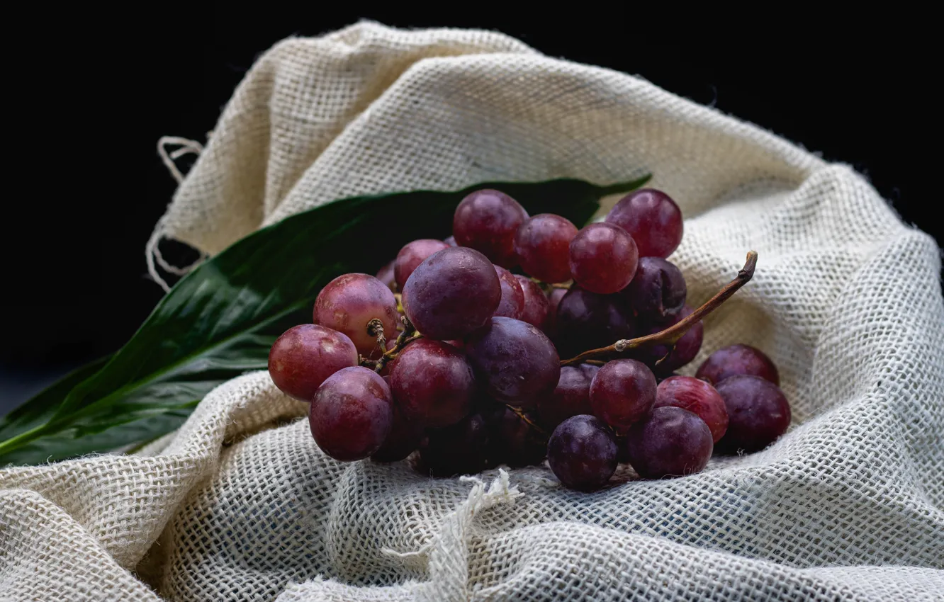 Photo wallpaper the dark background, grapes, bunch, fabric