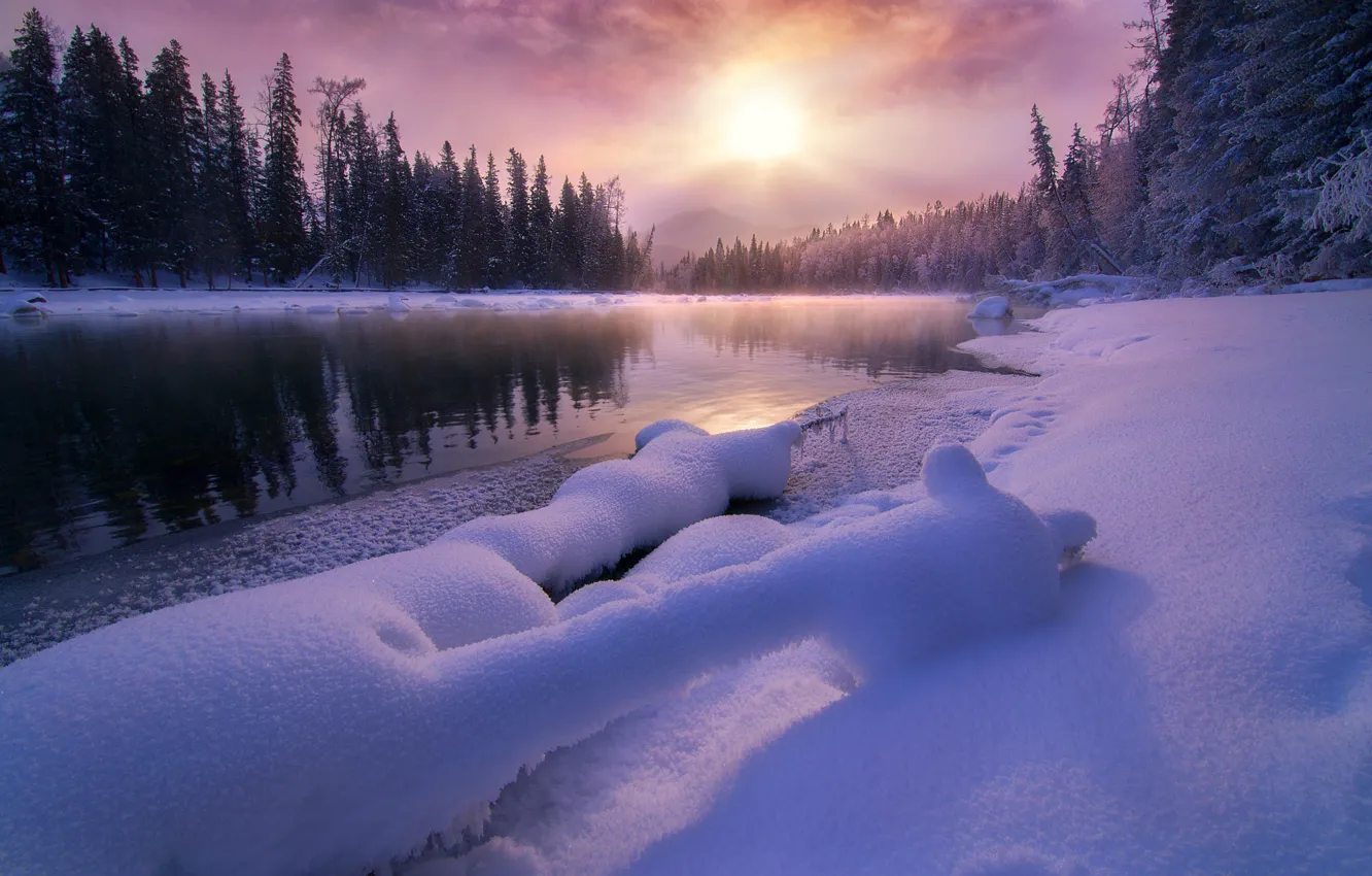 Photo wallpaper winter, forest, the sun, snow, fog, dawn, shore, morning
