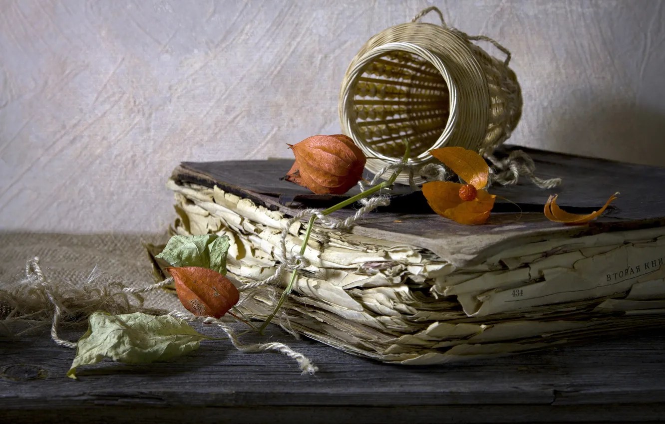 Photo wallpaper flowers, book, still life
