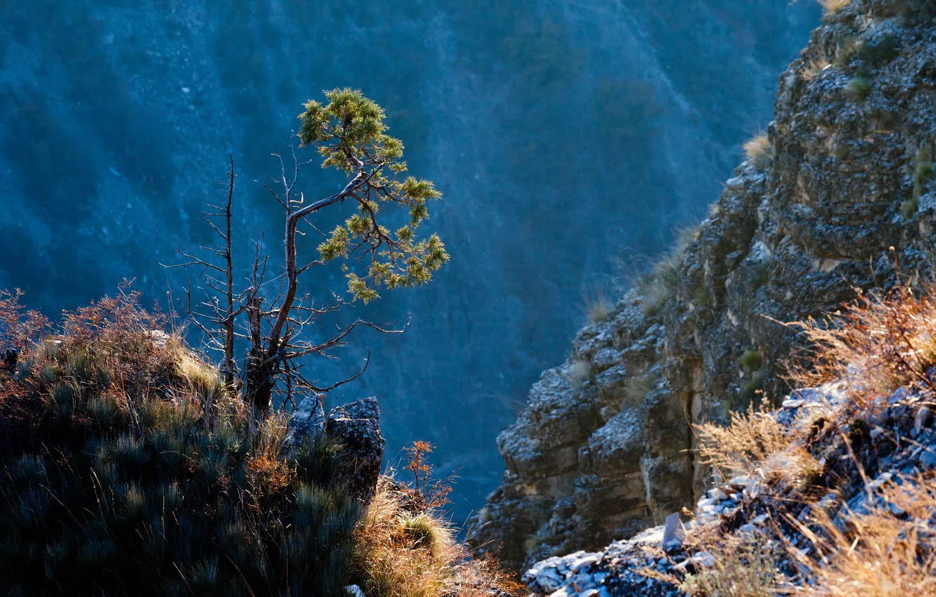 Photo wallpaper mountains, nature, Russia, The Caucasus, Dmitry chistoprudov, Dagestan
