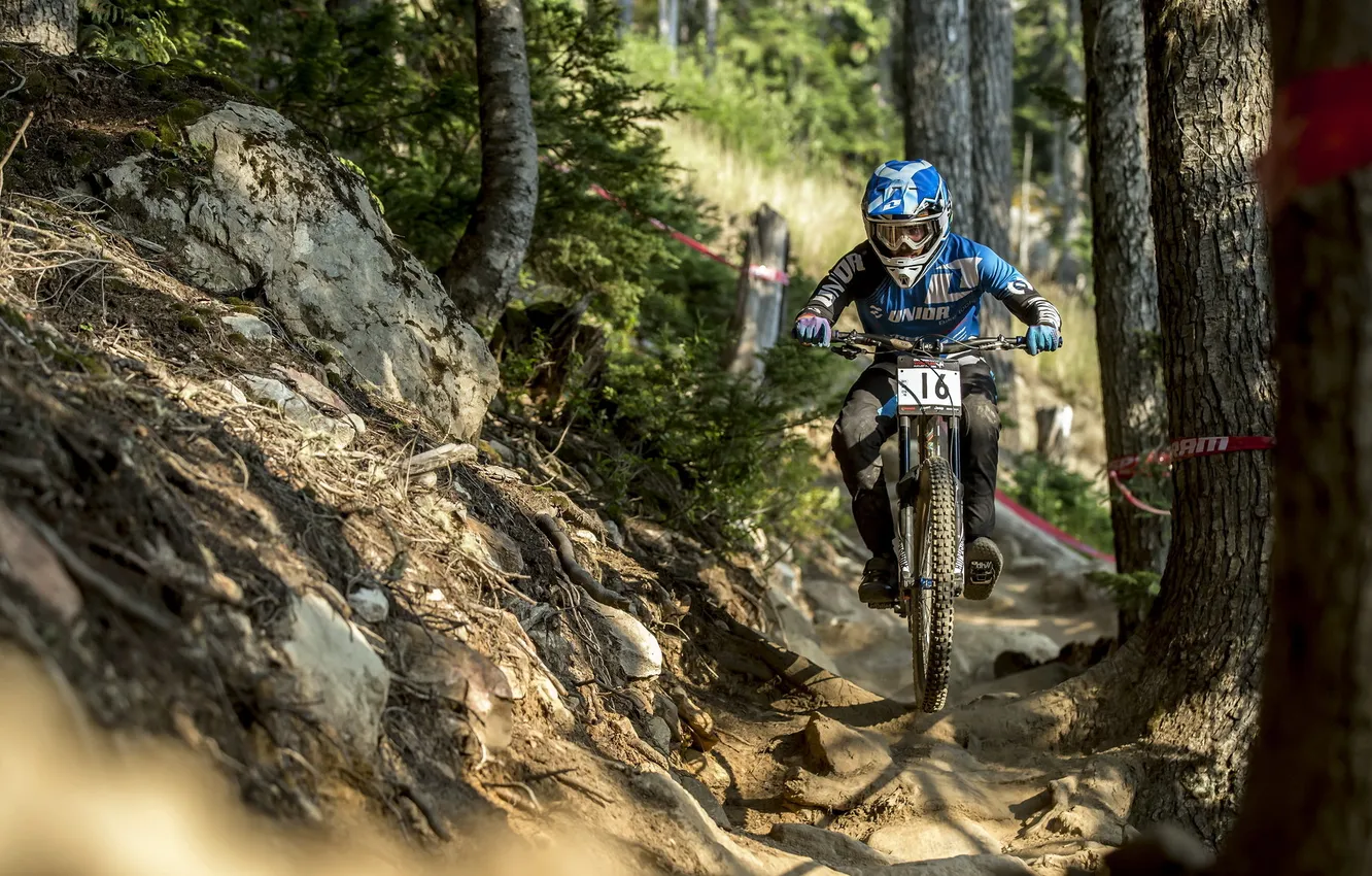 Photo wallpaper bike, race, sport