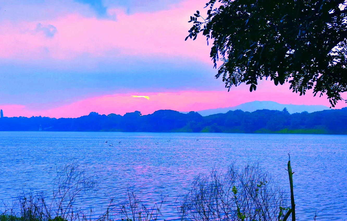 Photo wallpaper sky, trees, water, clouds, lake, morning, sun, sunrise