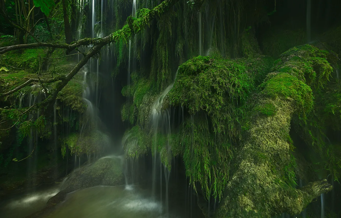 Photo wallpaper France, waterfall, moss