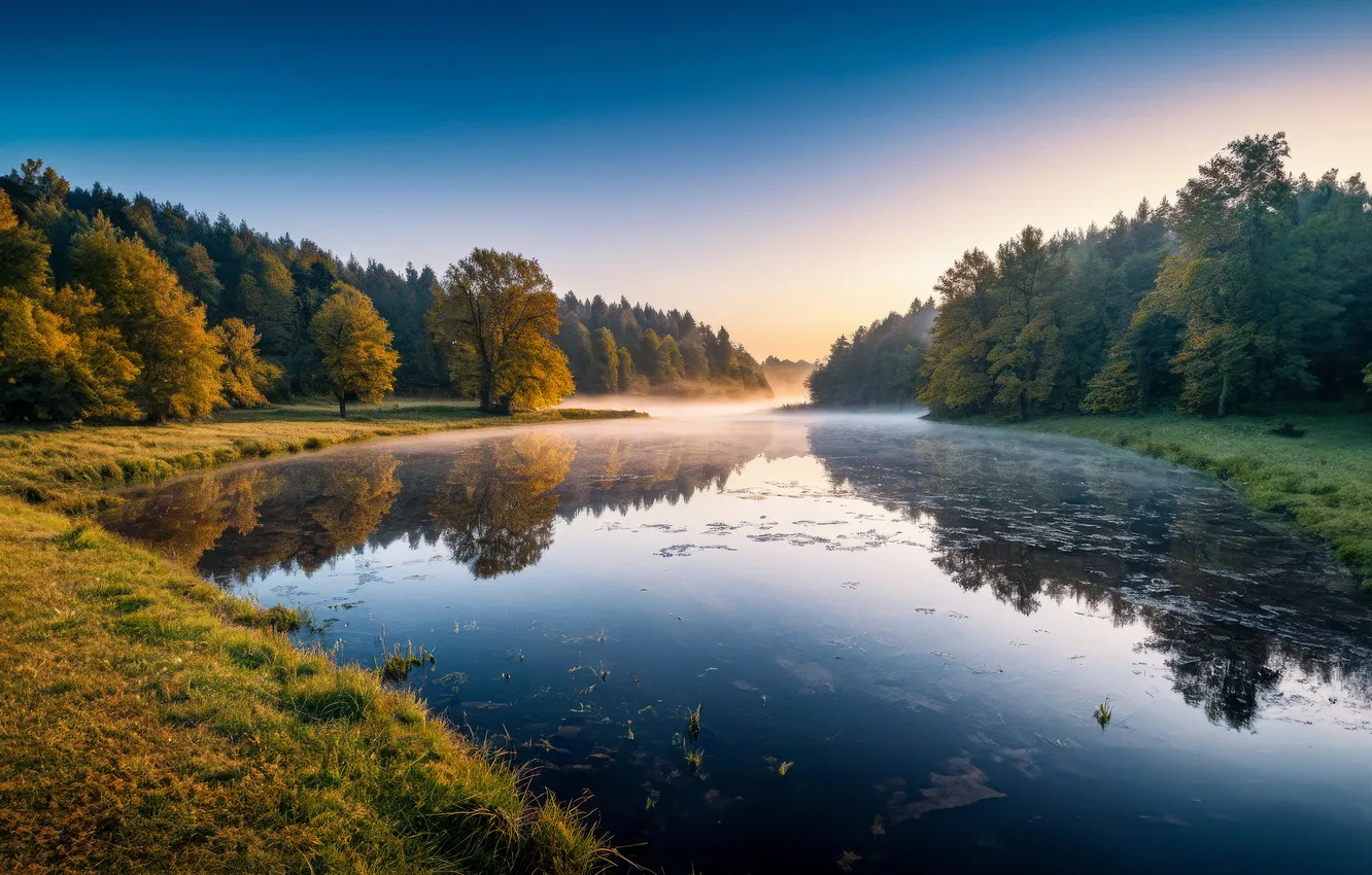 Photo wallpaper landscape, fog, river, morning, Germany