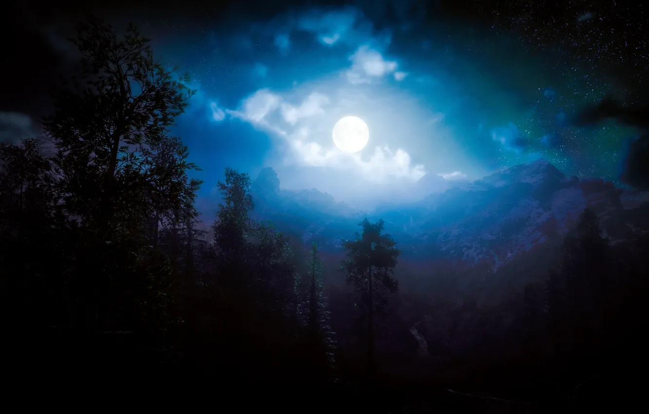 Photo wallpaper forest, trees, landscape, mountains, the moon