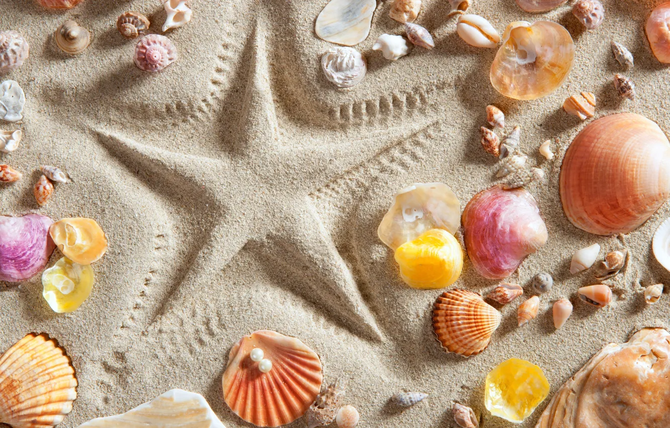 Photo wallpaper sand, stars, shell