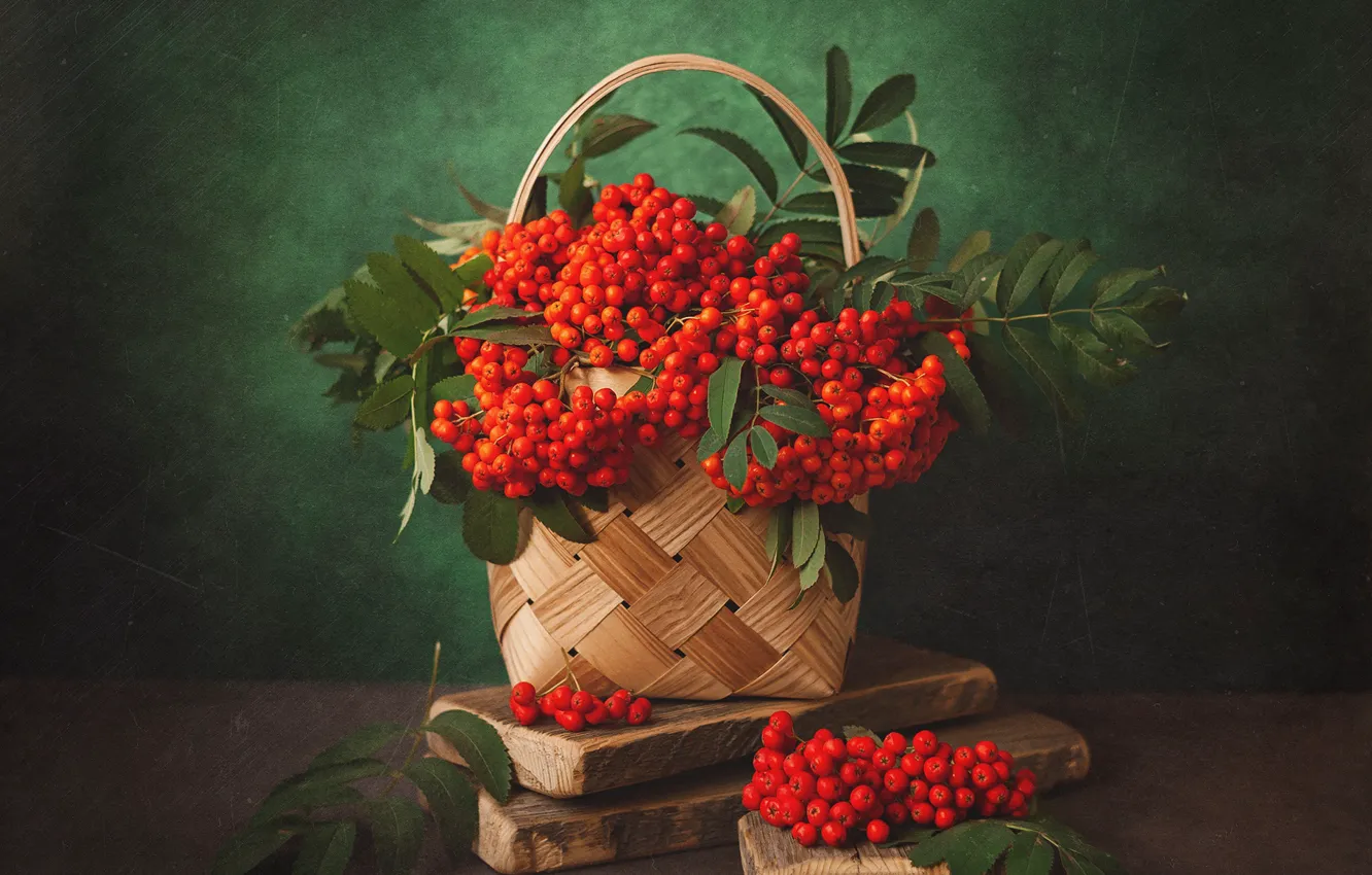 Photo wallpaper autumn, leaves, berries, Board, bouquet, basket, Rowan, bunches of Rowan