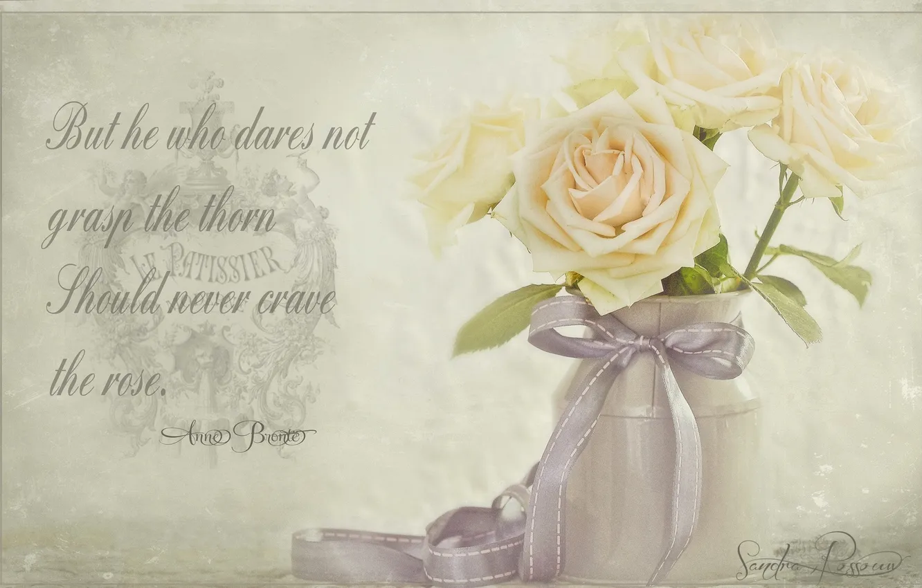 Photo wallpaper roses, blur, bow