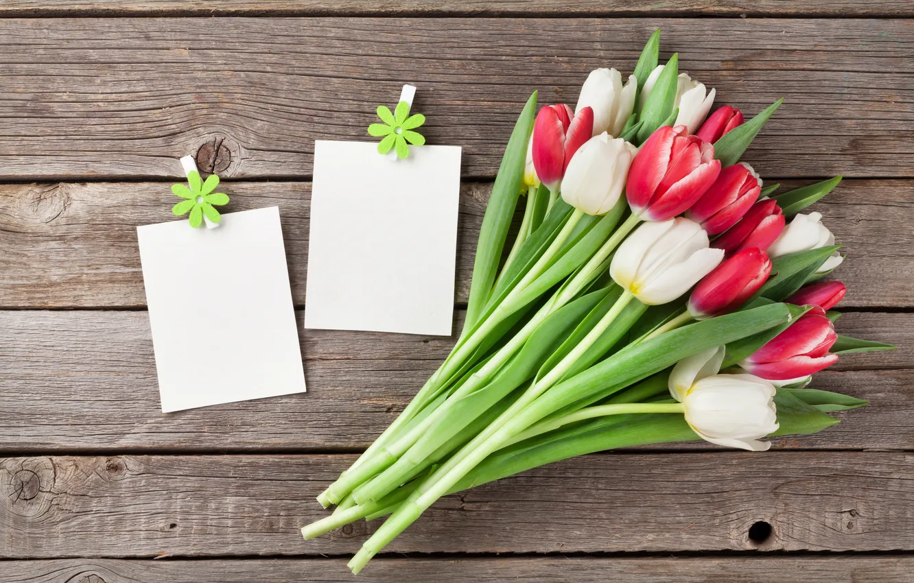 Photo wallpaper flowers, bouquet, tulips, red, white, wood, flowers, tulips