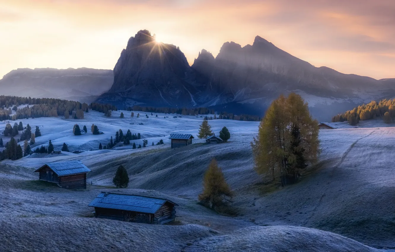 Photo wallpaper winter, frost, field, forest, snow, mountains, Alps, house