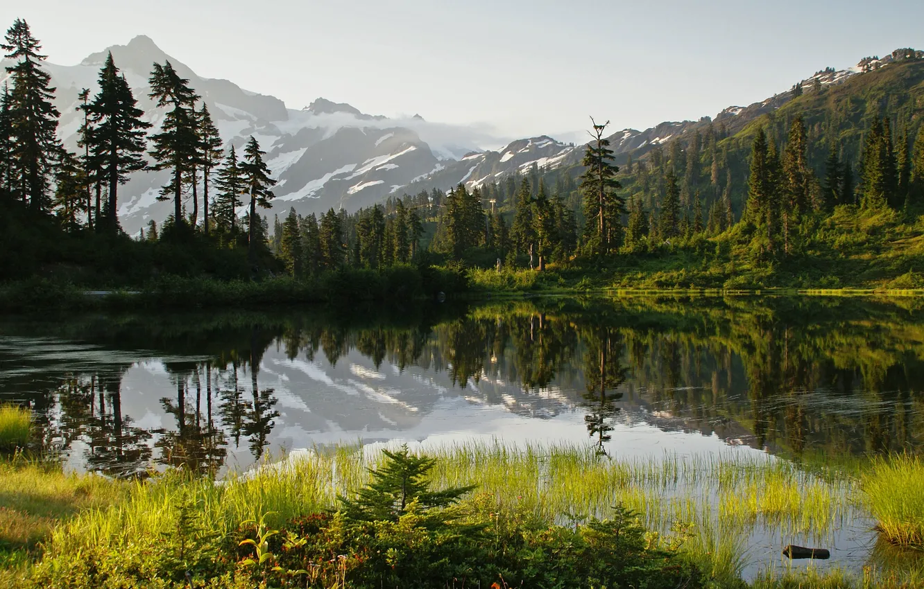 Photo wallpaper forest, grass, snow, trees, landscape, mountains, lake, spruce