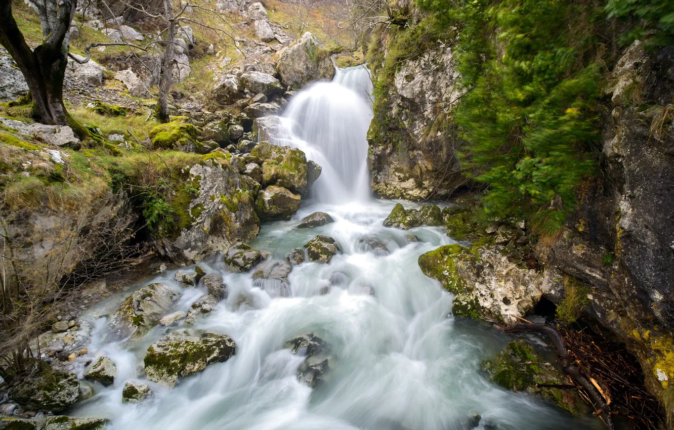 Photo wallpaper nature, river, stones